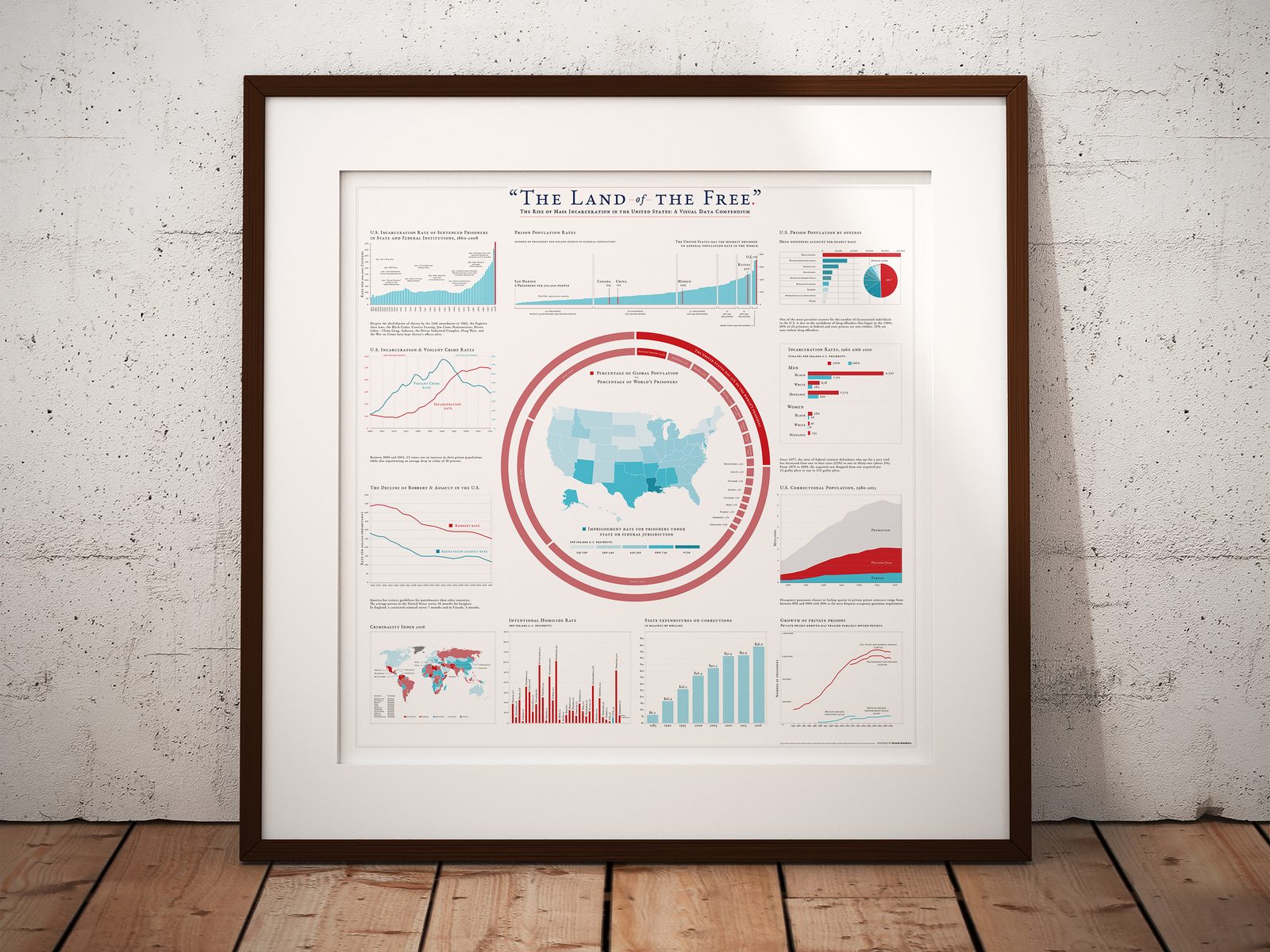Land of the Free data visualization poster, framed